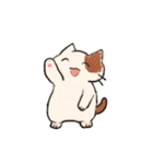 手のひらねこ（個別スタンプ：1）