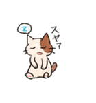 手のひらねこ（個別スタンプ：5）