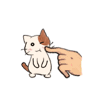 手のひらねこ（個別スタンプ：6）