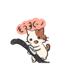 手のひらねこ（個別スタンプ：17）
