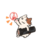 手のひらねこ（個別スタンプ：20）