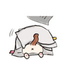 手のひらねこ（個別スタンプ：24）