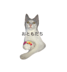はじめまして、ぶんさん（個別スタンプ：8）