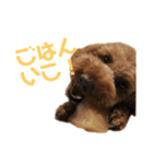 我が家の小太郎くん（個別スタンプ：7）