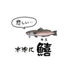 超ビチビチしてる魚のスタンプ（個別スタンプ：22）