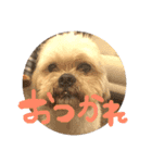 大林ミック（個別スタンプ：3）