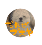 大林ミック（個別スタンプ：6）