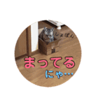 わたしエリマキです(その2)（個別スタンプ：3）