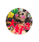 わたしエリマキです(その2)（個別スタンプ：5）