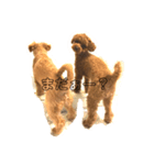 ろぺさく（個別スタンプ：1）