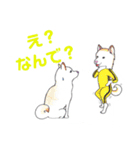 すっとこどっこい①（個別スタンプ：5）