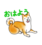 茶犬たち2（個別スタンプ：1）