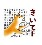 茶犬たち2（個別スタンプ：8）