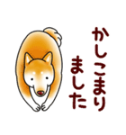 茶犬たち2（個別スタンプ：10）