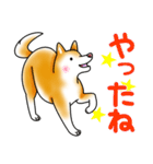 茶犬たち2（個別スタンプ：17）