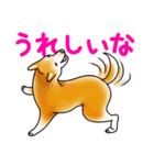 茶犬たち2（個別スタンプ：20）