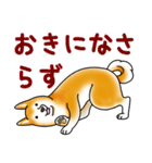 茶犬たち2（個別スタンプ：29）