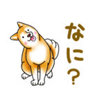 茶犬たち2（個別スタンプ：33）