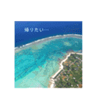 与論島スタンプ（個別スタンプ：8）
