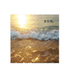 与論島スタンプ（個別スタンプ：15）