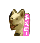 dog or LIFE（個別スタンプ：3）