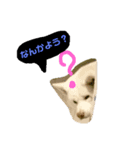 dog or LIFE（個別スタンプ：7）