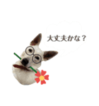 コーギー＆ホワイトシェパード編その2（個別スタンプ：15）