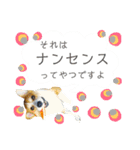 コーギー＆ホワイトシェパード編その2（個別スタンプ：18）