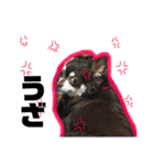 ペロトト姉妹2（個別スタンプ：6）