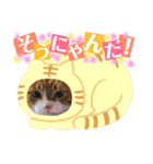 猫たちのご挨拶にゃんVol.1（個別スタンプ：9）