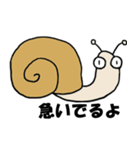 まる目生物（個別スタンプ：5）