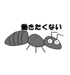まる目生物（個別スタンプ：6）