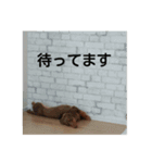 かずまくん2（個別スタンプ：15）