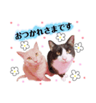 きなくろ仲良し兄弟（個別スタンプ：3）