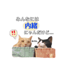 きなくろ仲良し兄弟（個別スタンプ：21）