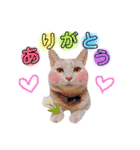 きなくろ仲良し兄弟（個別スタンプ：27）