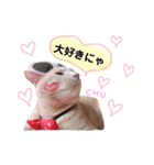 きなくろ仲良し兄弟（個別スタンプ：28）