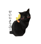ゆず、すい、こはく（個別スタンプ：14）