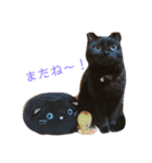 ゆず、すい、こはく（個別スタンプ：20）