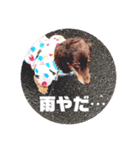 ロングなココア（個別スタンプ：7）