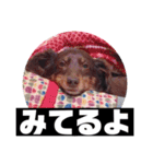 ロングなココア（個別スタンプ：8）
