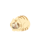 モチの返事（個別スタンプ：14）