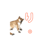 はるをファミリー（個別スタンプ：1）