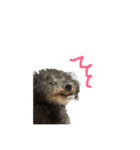 はるをファミリー（個別スタンプ：3）