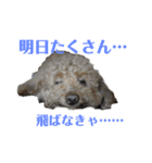はるをファミリー（個別スタンプ：4）