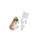 はるをファミリー（個別スタンプ：7）
