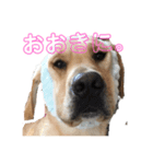 はるをファミリー（個別スタンプ：8）