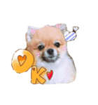 犬なのにタマ（個別スタンプ：2）