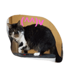 みーくおスタプンプン（個別スタンプ：15）