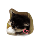 みーくおスタプンプン（個別スタンプ：22）